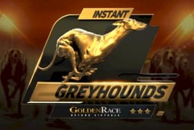 Dog H.Odds On Demand