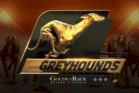 Dog 6 H.Odds